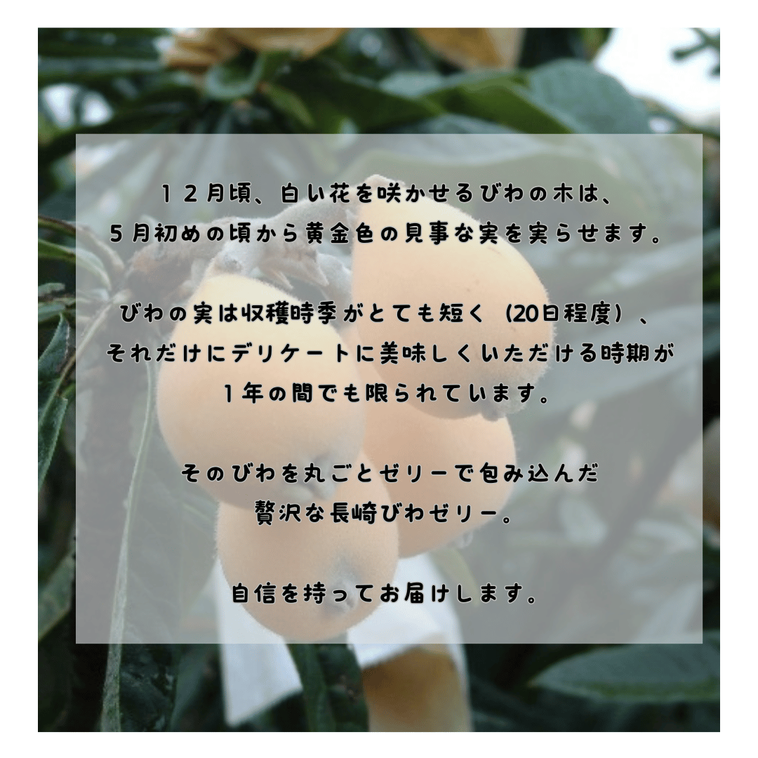 【ギフト】【送料込】世界が認めたびわゼリー9個入り 　iTQi(国際味覚機構)を受賞【スイーツ・洋菓子】