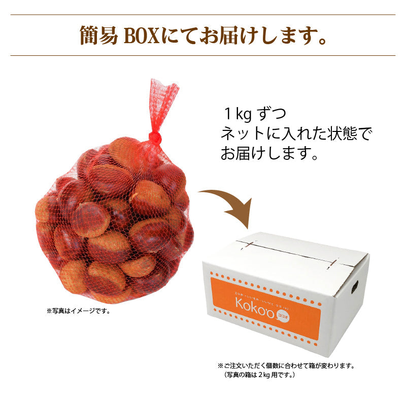 ※2025年8月頃予約開始予定※愛媛県産「中山栗」約1kg（ネット入り）