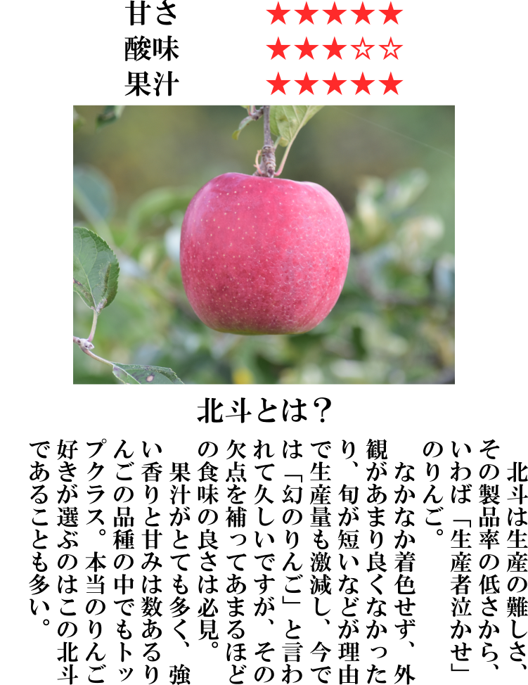 【通常便】ご家庭用　北斗5キロ(20玉～11玉)　※沖縄地域・離島エリア以外は送料無料