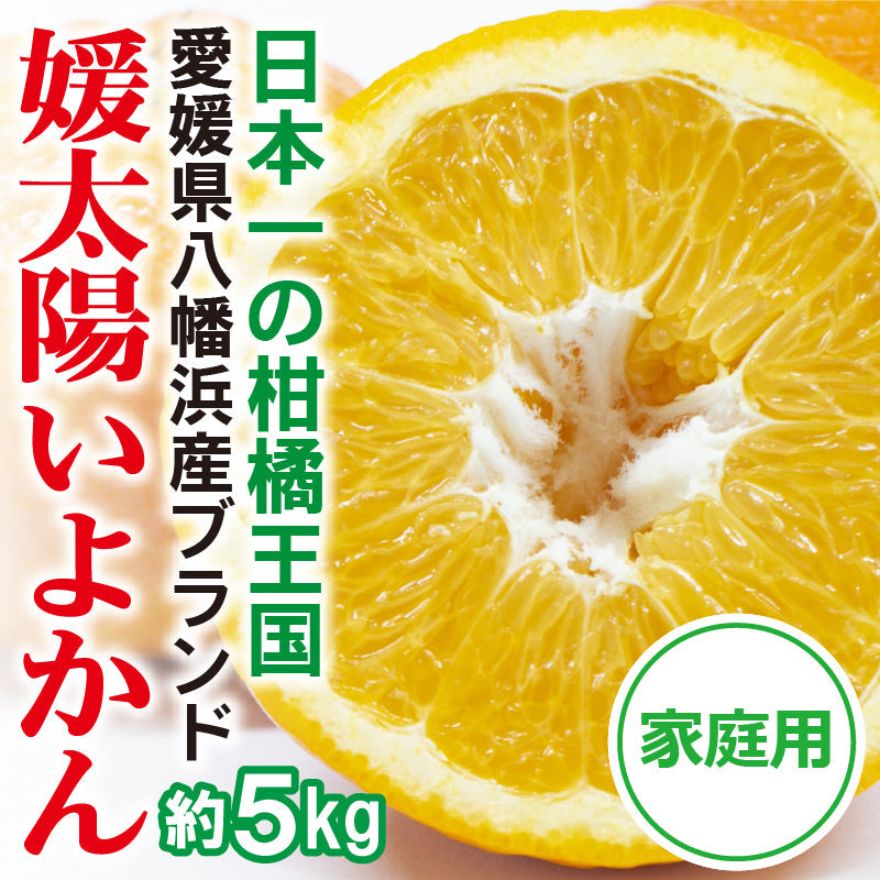 ※今季販売終了※愛媛県産「伊予柑」　媛太陽いよかん〈優品・家庭用〉約5kg　※発送は１月中旬～２月中旬予定
