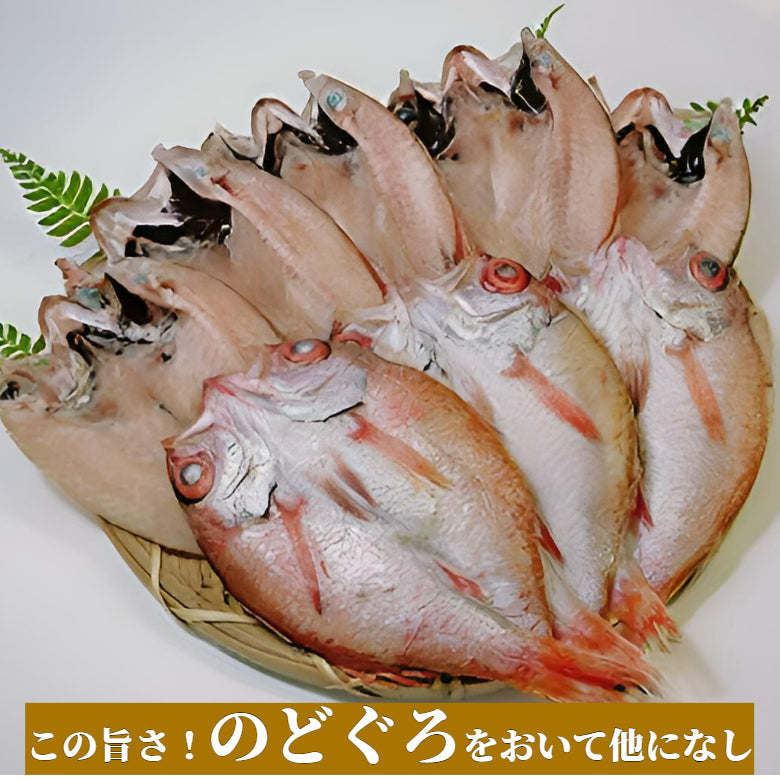 みんな大好き　のどぐろ一夜干しセット（5～8枚入り）