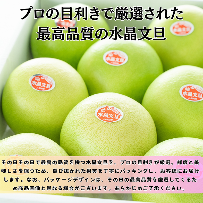 先行予約クーポン10％OFF**【プロの目利き厳選】人気の高知の宝石、水晶文旦【5kg贈答用 大玉（7玉～10玉）】(注文順に発送：発送期間9月20日～10月20日) ぶんたん 高知県産 フルーツ 柑橘類 ギフト 贈り物 旬 果物 みかん 旬 春 新鮮 大玉 甘い 高級 贈答用 お取り寄せ 人気商品  やの一果彩