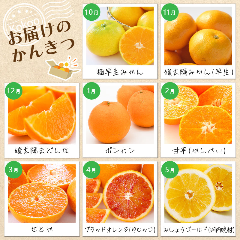 ※今季受付終了※【送料無料】お得！旬の柑橘定期便【選べる秀品・訳あり（全8回）】※お楽しみプチプレゼント付き　※次回受付開始は2025年９月頃の予定です。