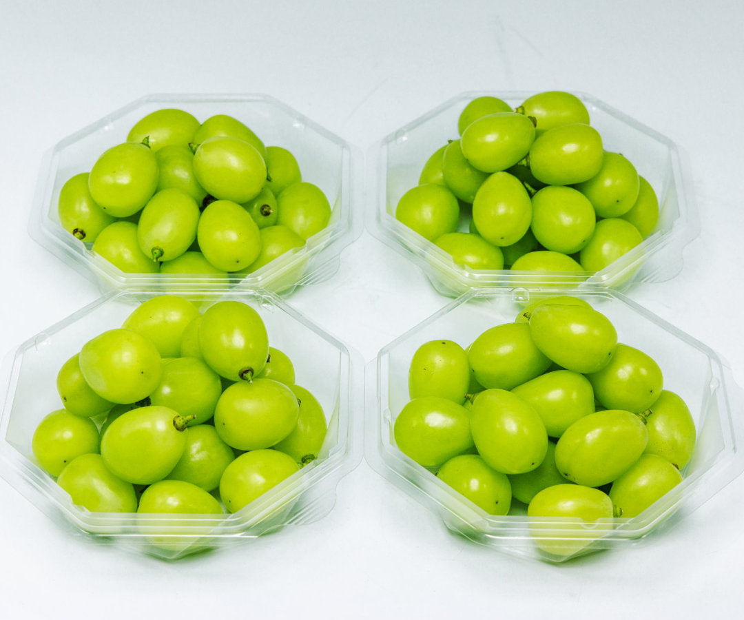 シャインマスカット（ダイヤパック詰）250g×4パック　先行予約受付中