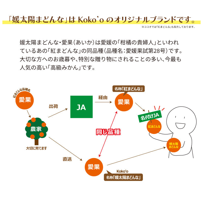 【※今季受付一旦終了※】【送料無料】訳あり媛太陽まどんな「小さなまどんなちゃん」〈家庭用・小玉〉約3kg