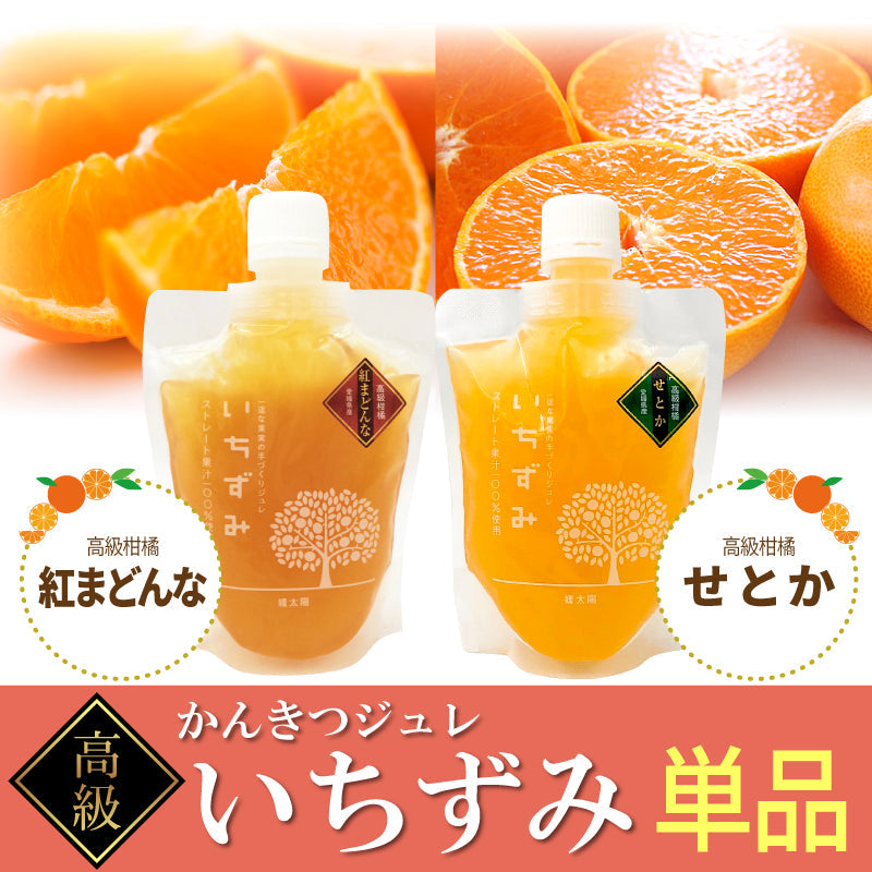 かんきつジュレ「いちずみ」-紅まどんな・せとか-〈単品〉