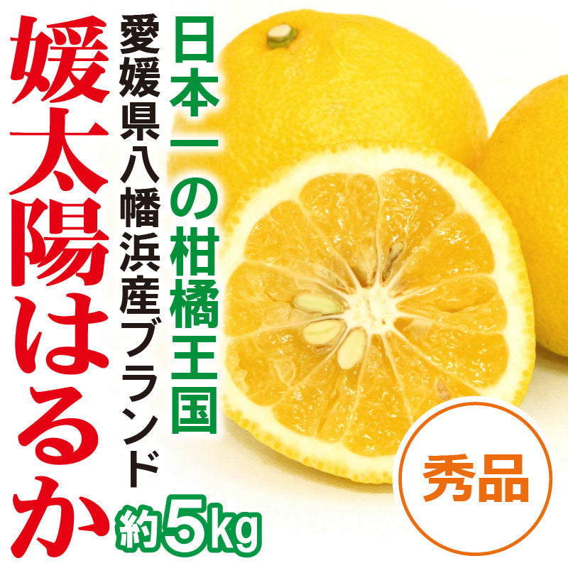 ※今季販売終了※【送料無料】愛媛県産「はるか」-媛太陽はるか-〈秀品〉約5kg