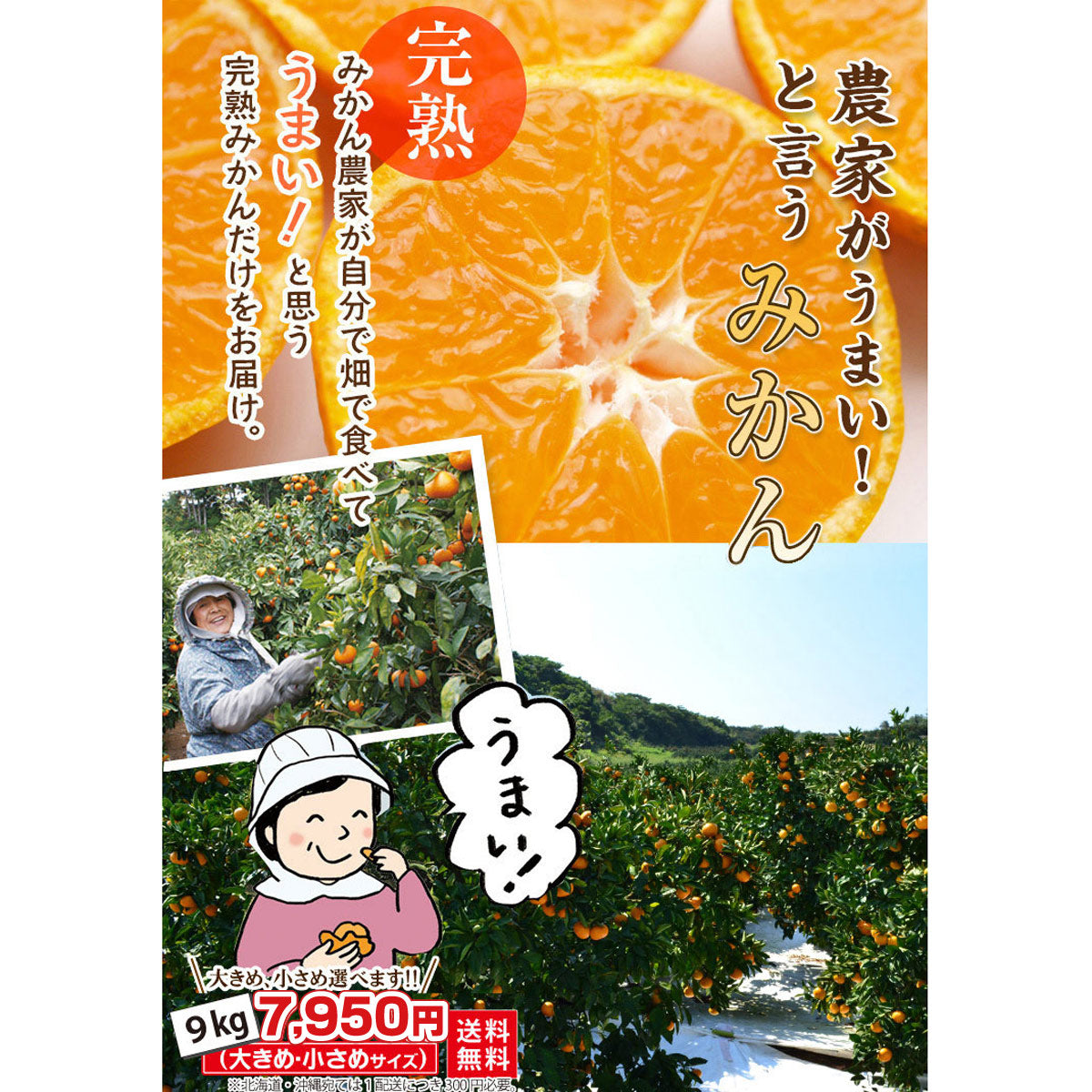 【完熟！甘酸っぱい！】★農家が旨い！と言うミカン 9ｋｇ（サイズを選べます）★