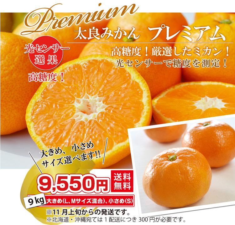 【高糖度！】★太良みかん『プレミアム』9kg（大きめ・小さめ選べます。）