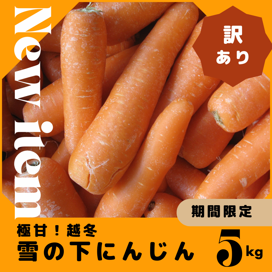 【今期最終／訳あり】とにかく甘い！北海道特産極甘「雪の下にんじん」5㎏【送料別】