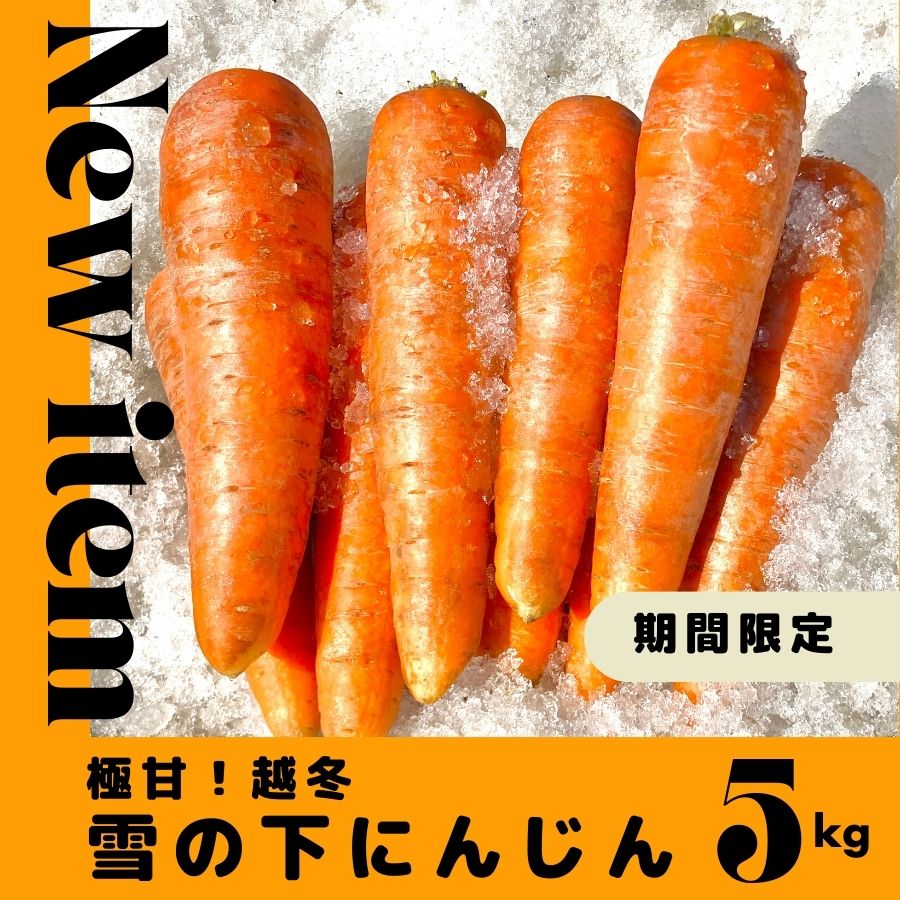 【今期最終】とにかく甘い！北海道特産極甘「雪の下にんじん」5㎏【送料別】