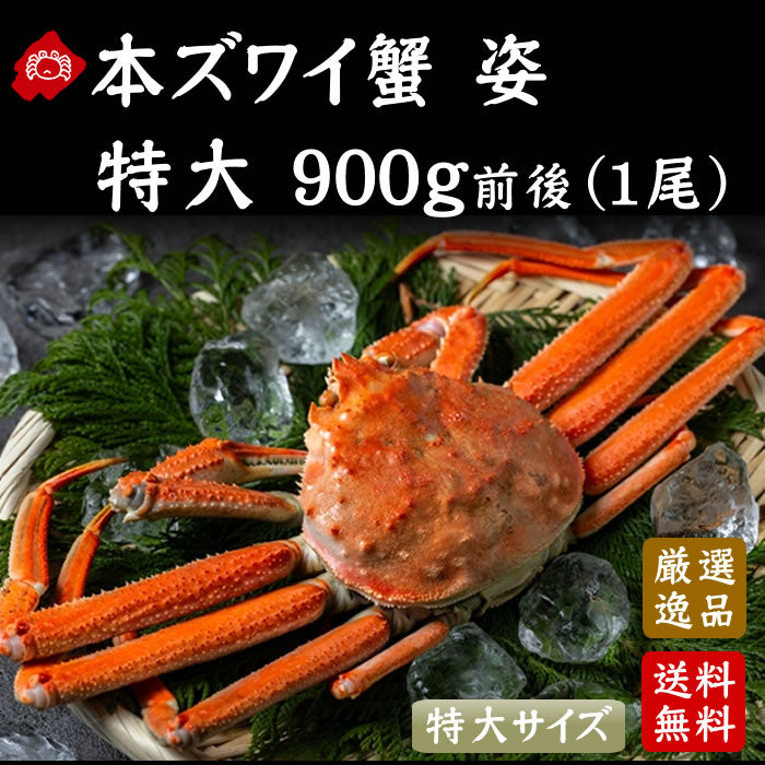 【感謝セール】本ずわい蟹 姿ボイル900g前後（送料無料※沖縄は別途）