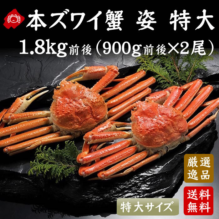 【】本ずわい蟹 姿ボイル900g前後（送料無料※沖縄は別途）