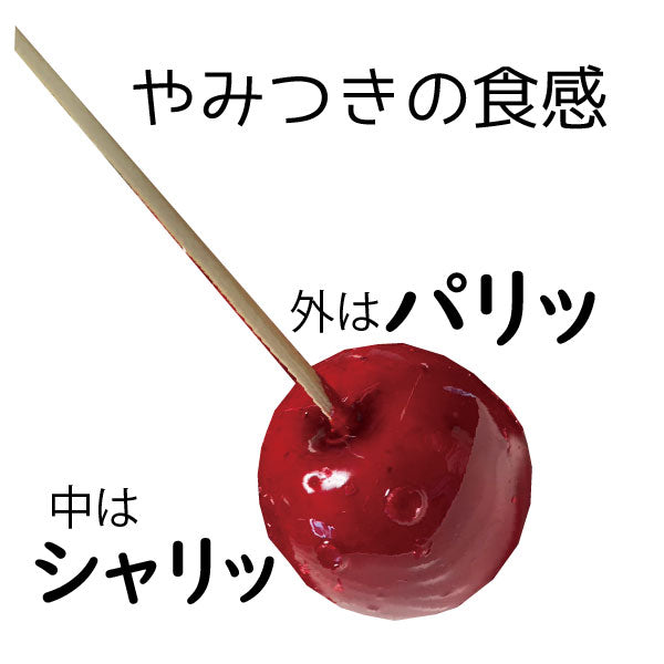 アイスりんご飴 プレーン あおもり乙女 ミニふじ 青森県産 りんご 林檎 6個入り 冷凍便 青森県産 希少 デザート アイス スイーツ プレゼント ギフト 送料無料 道奥美女 みちのくびじょ【9300】