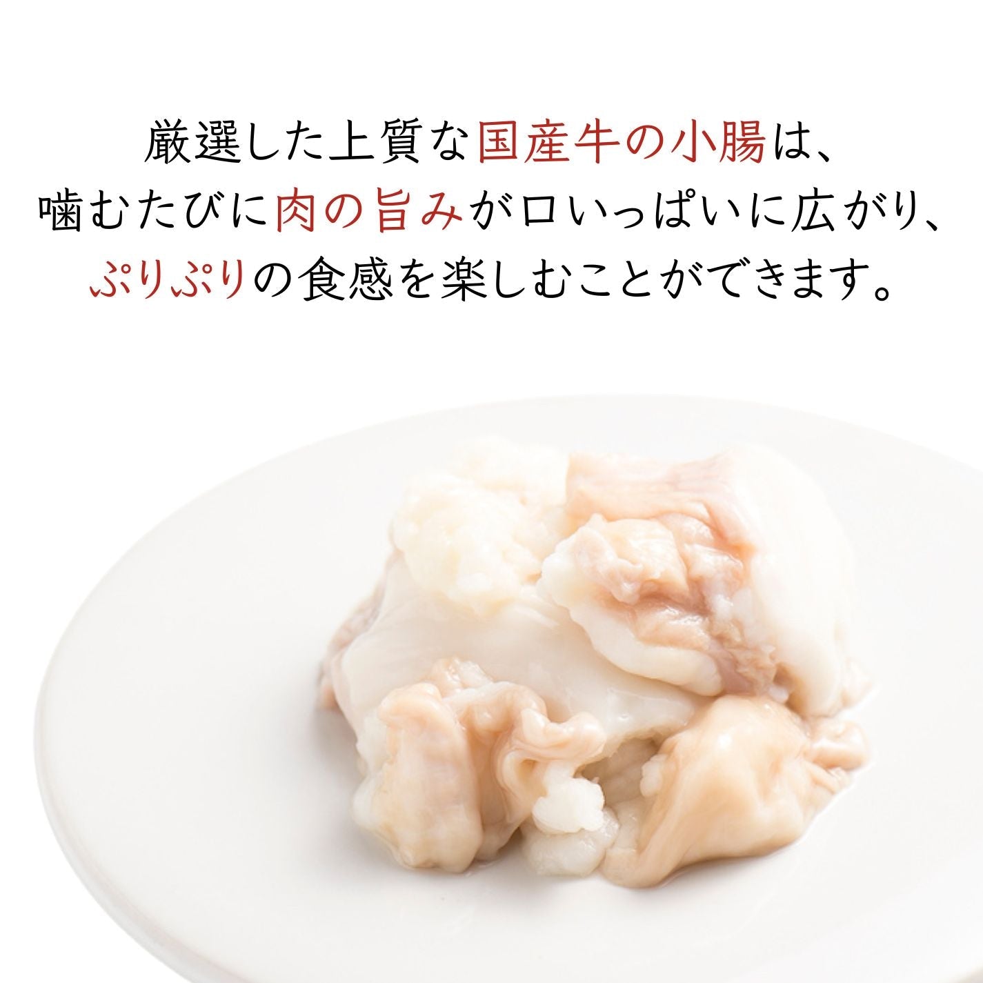 【食通が喜ぶ！】国産牛もつ鍋 2-3人前