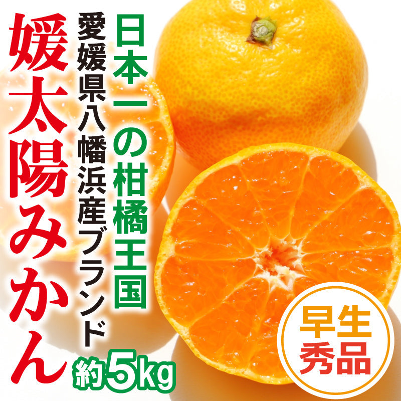 ※2025年9月頃より予約開始予定※愛媛県産「温州みかん(早生)」‐媛太陽みかん-〈秀品〉約5kg