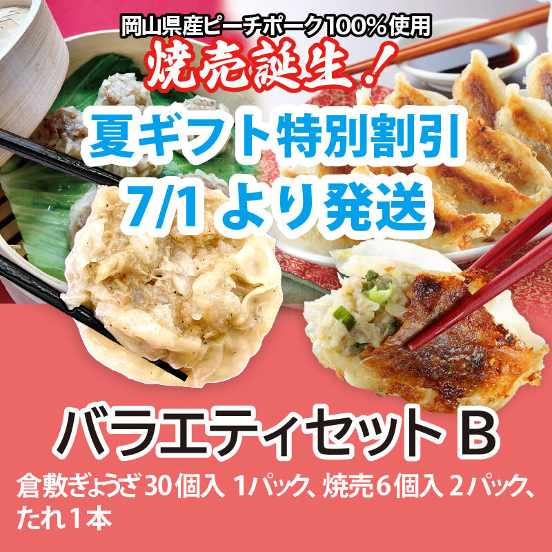【夏ギフト特別割引5%OFF 9/20まで】★送料込み ぎょうざと焼売！バラエティセットB