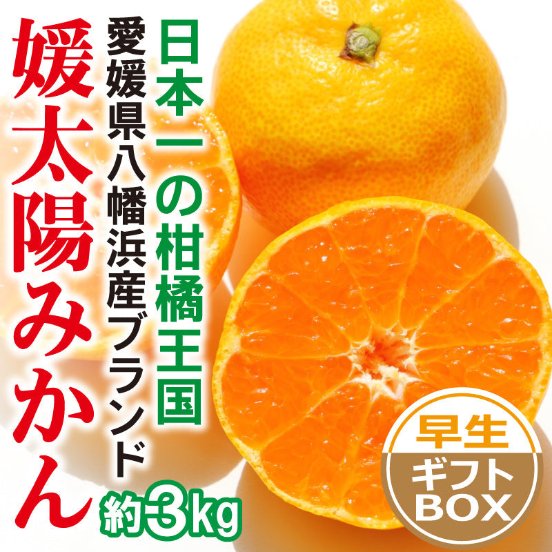 ※2025年9月頃より予約開始予定※愛媛県産「温州みかん(早生)」-媛太陽みかん-〈秀品・ギフトBOX〉約3kg