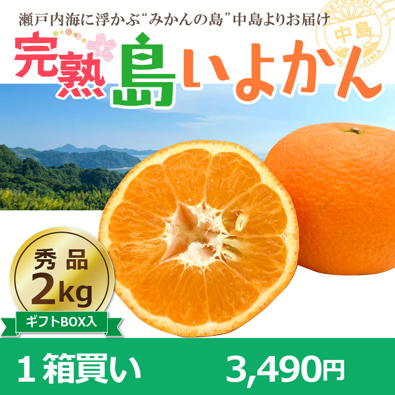 【送料無料】完熟島いよかん約２kg〈秀品・ギフトBOX〉※2026年2下旬～3月頃発送予定