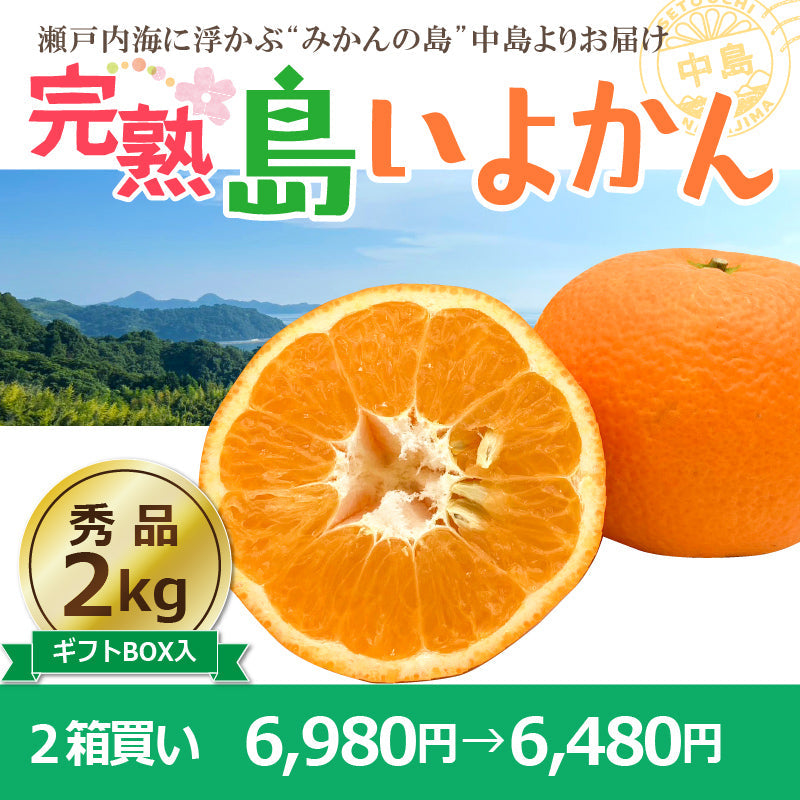 【送料無料】完熟島いよかん約２kg〈秀品・ギフトBOX〉※2026年2下旬～3月頃発送予定
