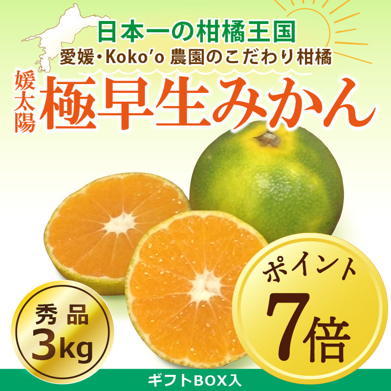 【10月7日ポイント7倍】愛媛県産「極早生みかん」〈秀品・ギフトBOX〉約3kg