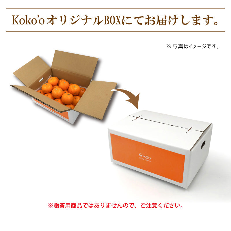 ※今季販売終了※【送料無料】訳あり「小さなせとかちゃん」〈家庭用・小玉〉約3kg　※発送は２月中旬～３月中旬予定