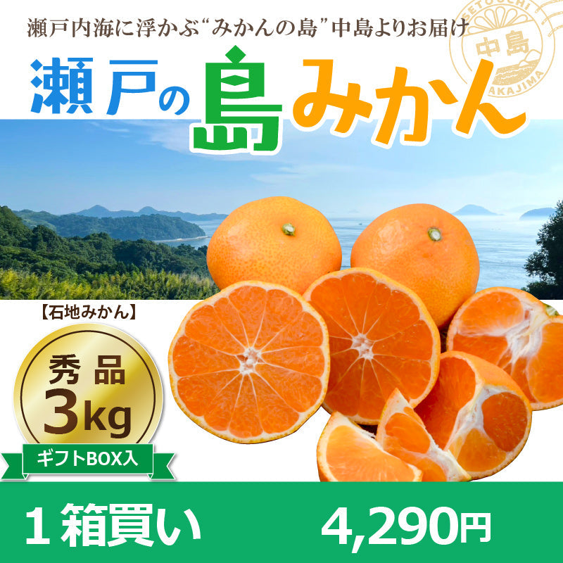 ※予約受付中※【送料無料】木成り完熟　島みかん(石地)約３kg〈秀品・ギフトBOX〉　※2026年1月頃発送予定
