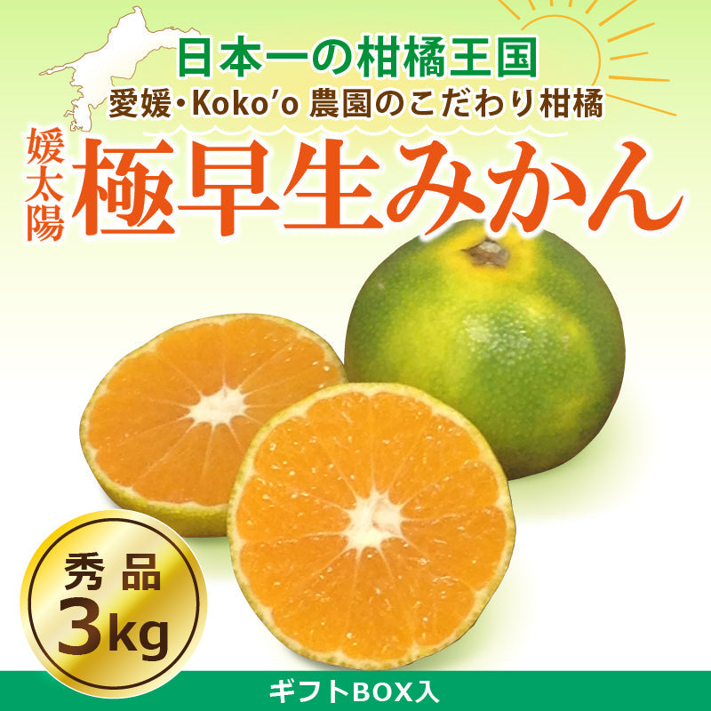 ※予約受付中※愛媛県産「極早生みかん」〈秀品・ギフトBOX〉約3kg