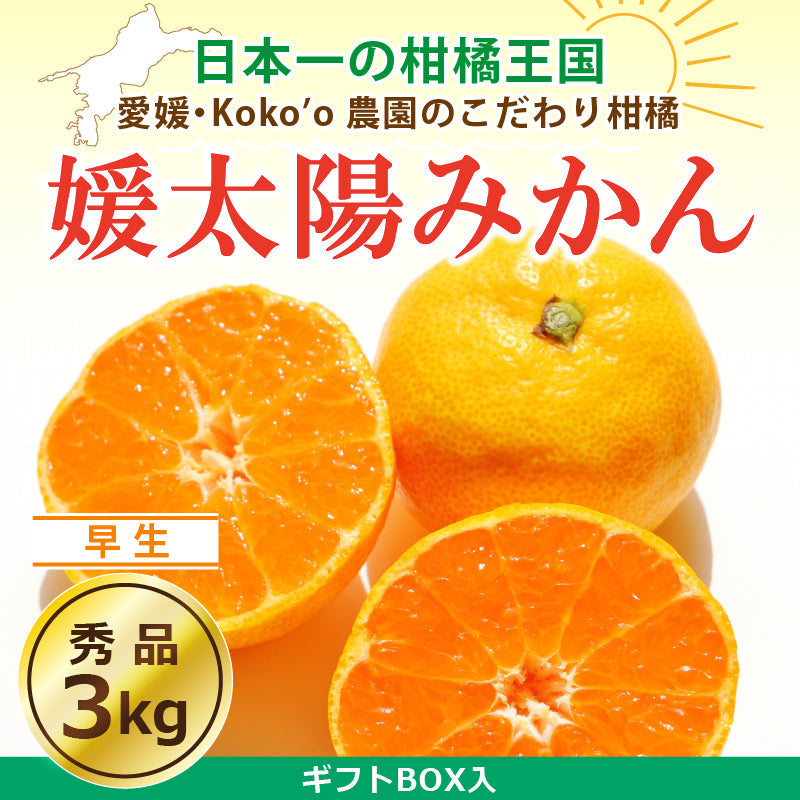 【※早割予約受付中※】愛媛県産「温州みかん(早生)」-媛太陽みかん-〈秀品・ギフトBOX〉約3kg
