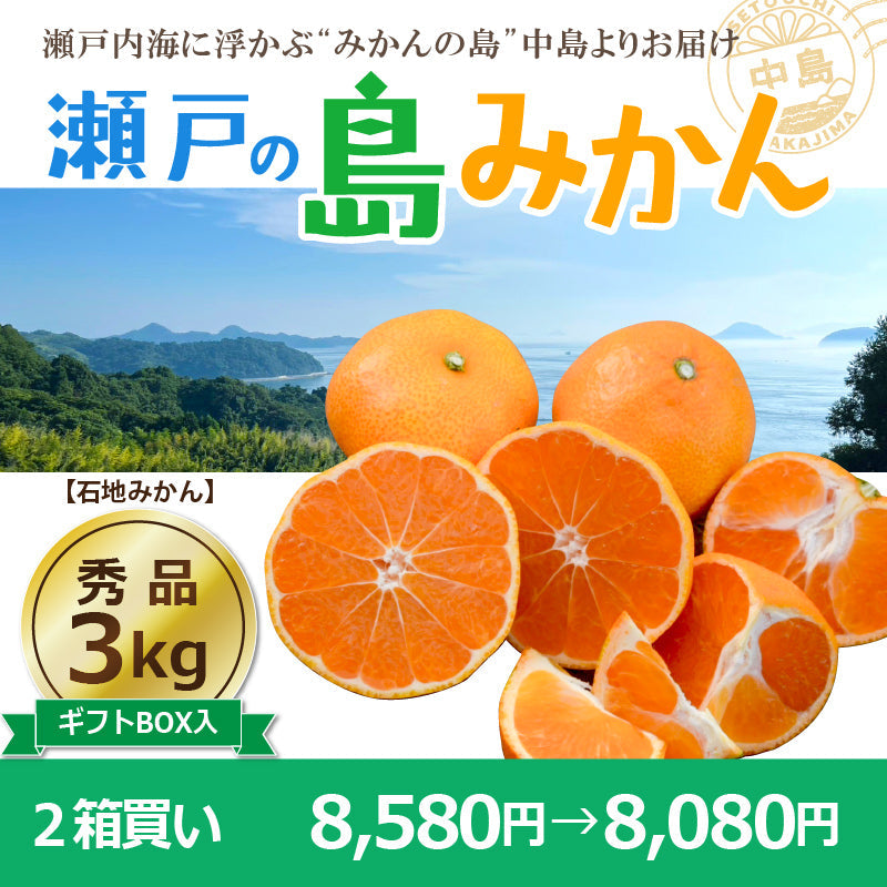 ※予約受付中※【送料無料】木成り完熟　島みかん(石地)約３kg〈秀品・ギフトBOX〉　※2026年1月頃発送予定