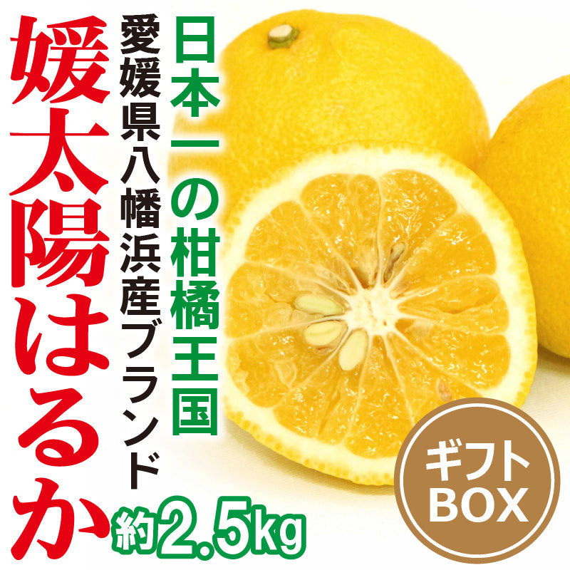 078みかんページ 楽天市場】龍馬感激（R）みかん 3kg 5kg ギフト
