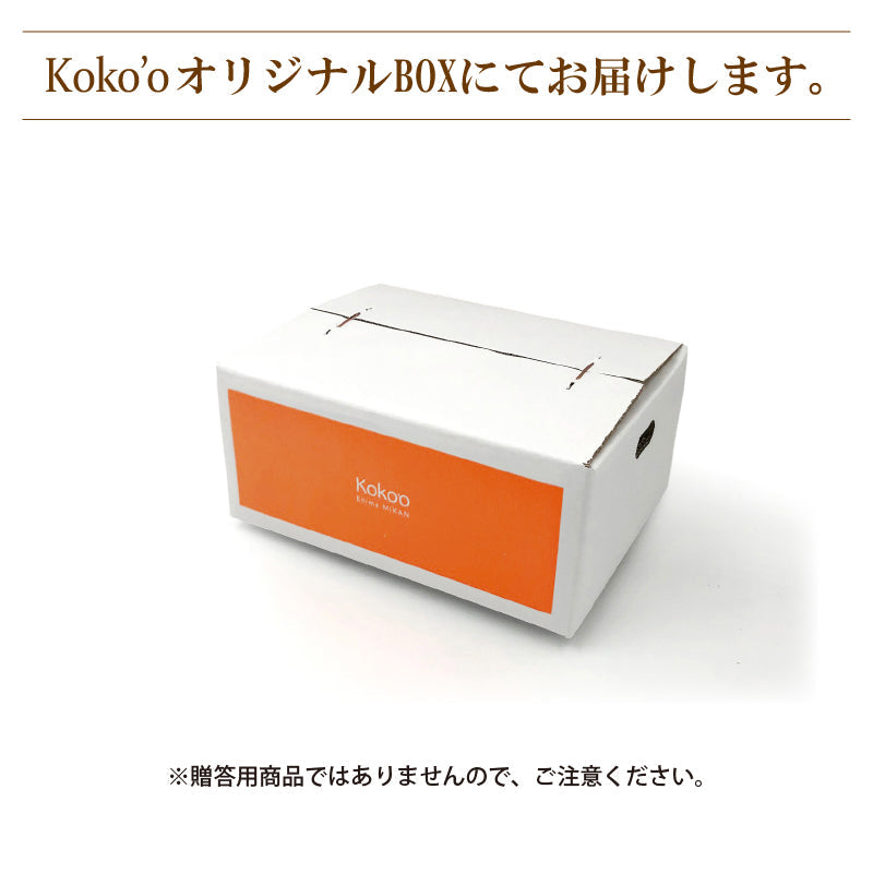 【送料無料】完熟島いよかん約２kg〈家庭用・優品〉※2026年2下旬～3月頃発送予定