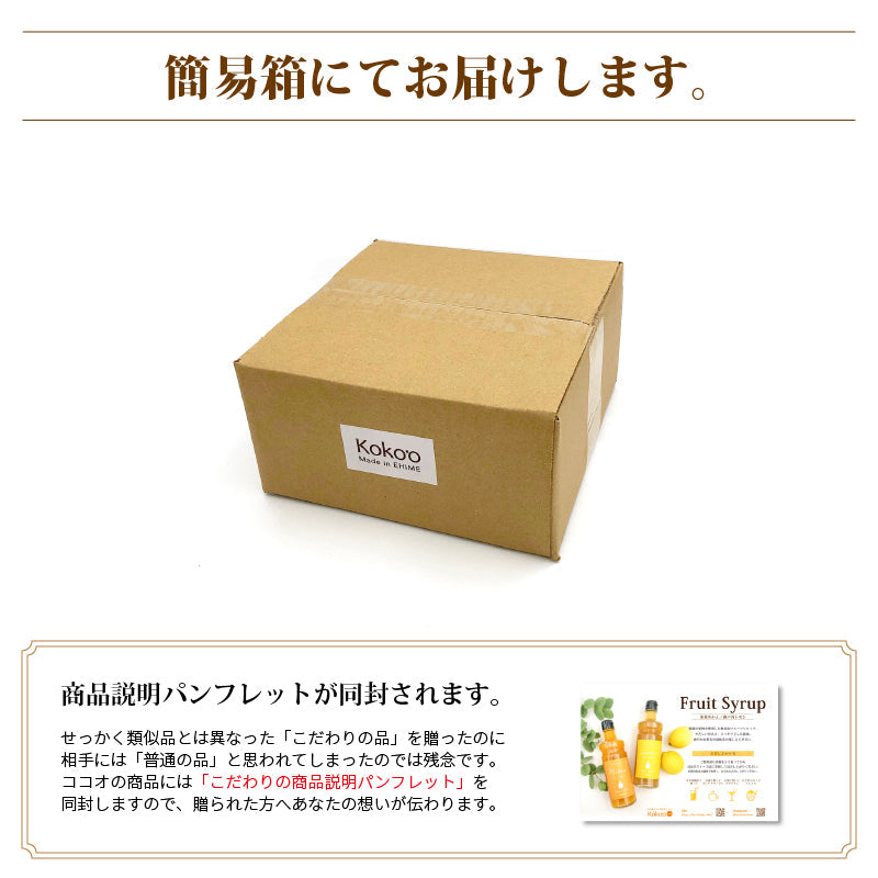 愛媛県産「フルーツシロップ（みかん）」〈単品〉 | 47CLUB