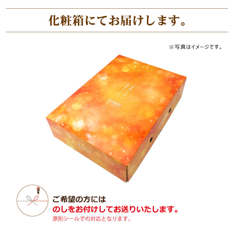 ※今季販売終了※【送料無料】高級ブランドかんきつ「せとか」〈秀品・高級化粧箱入〉約3kg　※発送は２月中旬～３月中旬予定