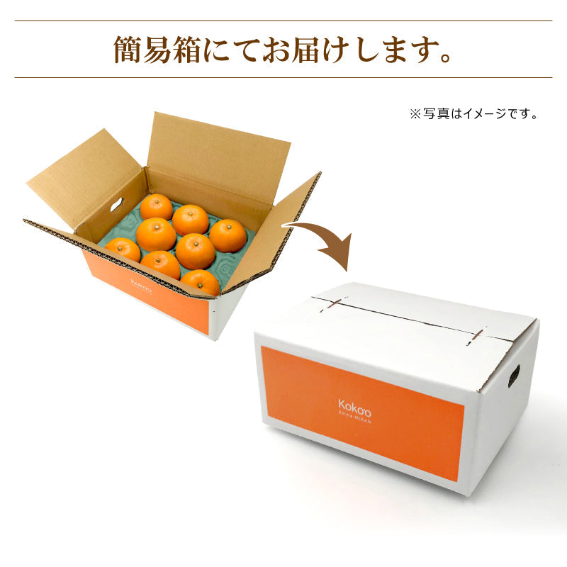 ※今季販売終了※【送料無料】高級ブランドかんきつ「媛太陽まどんな」〈家庭用・優品/小箱〉約1.8kg（L～4L/約4～9玉）