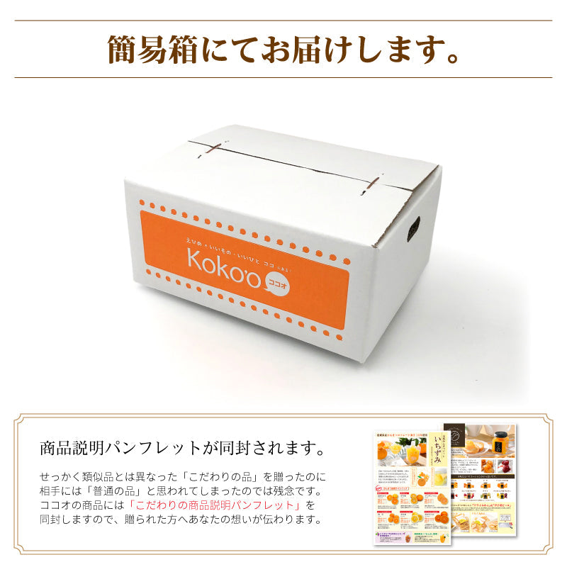 かんきつジュレ「いちずみ」（20個セット）【送料無料】