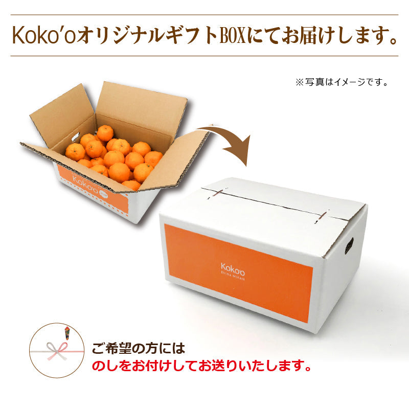 ※今季販売終了※【送料無料】春のみかん「カラマンダリン」〈優品・家庭用・小箱〉約3kg