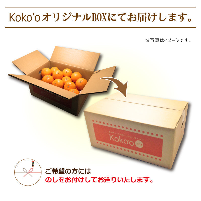 ※今季販売終了※愛媛県産「温州みかん(早生)」‐媛太陽みかん-〈家庭用・小玉〉約5kg