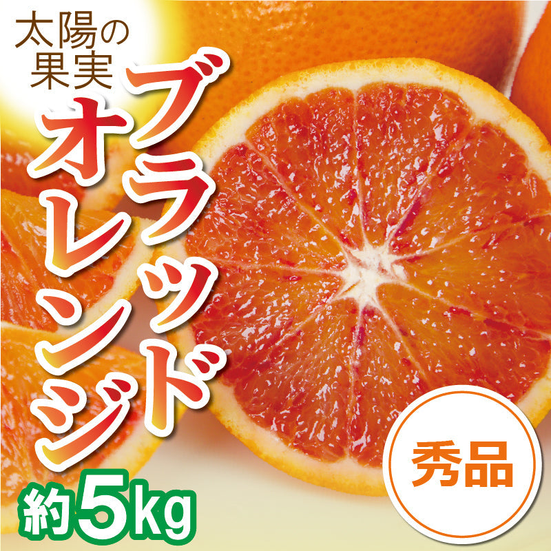 ※2025年販売中止※【送料無料】愛媛県産「ブラッドオレンジ（タロッコ）」〈秀品〉約5kg