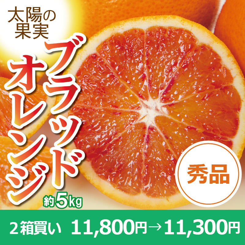 ※2025年販売中止※【送料無料】愛媛県産「ブラッドオレンジ（タロッコ）」〈秀品〉約5kg