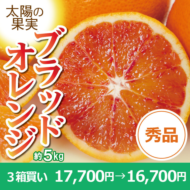 ※2025年販売中止※【送料無料】愛媛県産「ブラッドオレンジ（タロッコ）」〈秀品〉約5kg