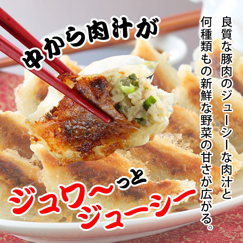【夏ギフト特別割引5%OFF 9/20まで】★送料込み ぎょうざと焼売！バラエティセットB