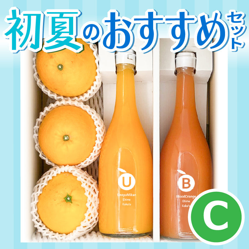 ※今季販売終了※【送料無料】初夏のおすすめセットC　-河内晩柑＆温州みかんジュース＆ブラッドオレンジジュース詰合せ-