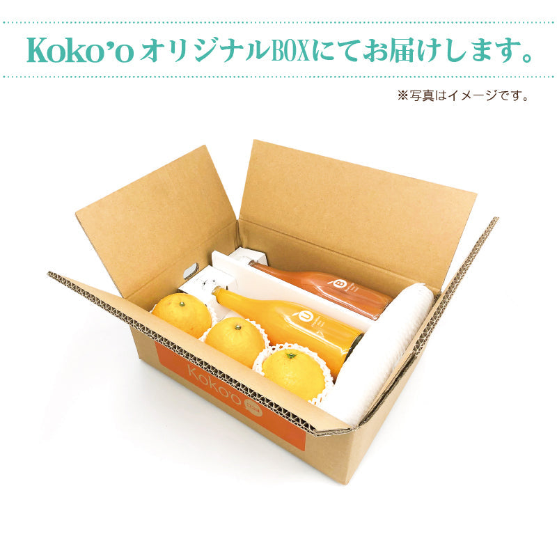 ※今季販売終了※【送料無料】初夏のおすすめセットC　-河内晩柑＆温州みかんジュース＆ブラッドオレンジジュース詰合せ-