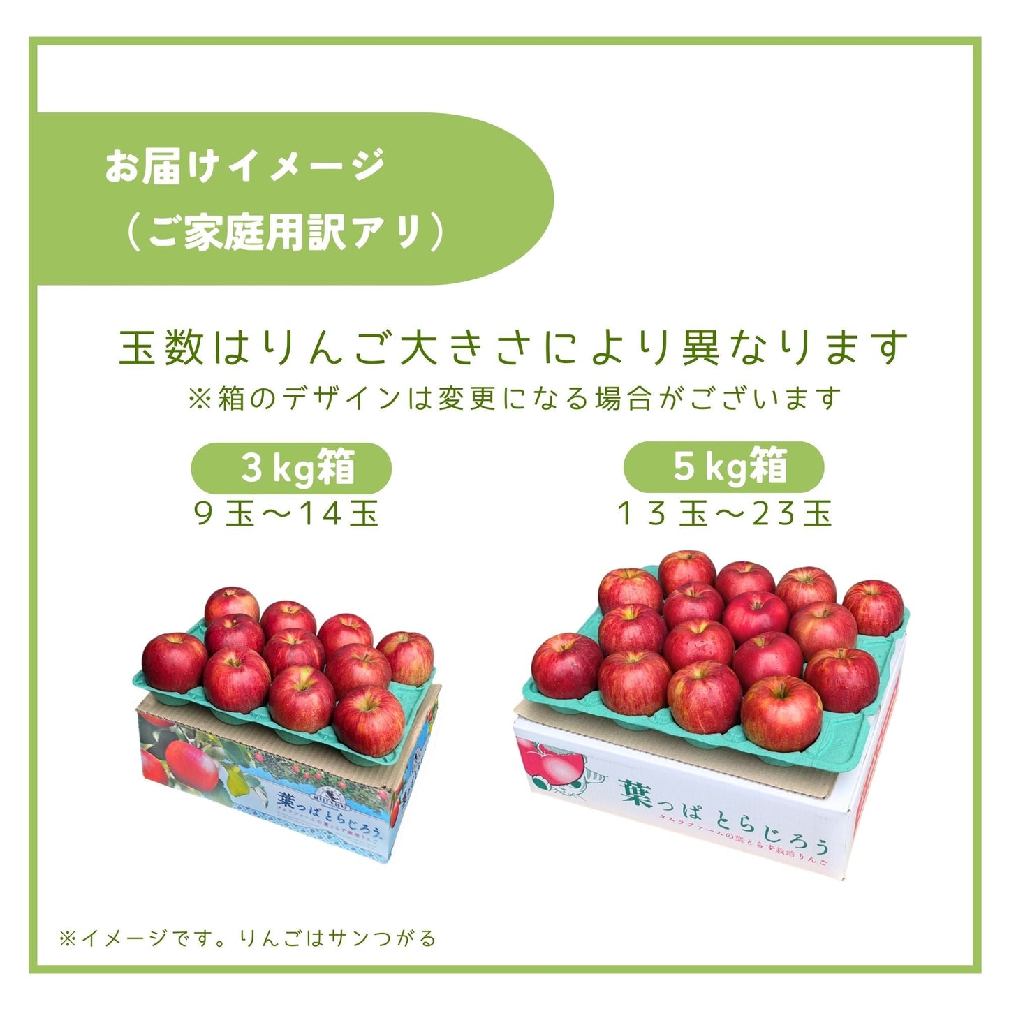サンふじ訳あり家庭用【送料込】【葉っぱとらじろう】【りんご】【青森県産】【12月上旬発送予定・予約受付中】【タムラファーム農園直送】【期間限定】