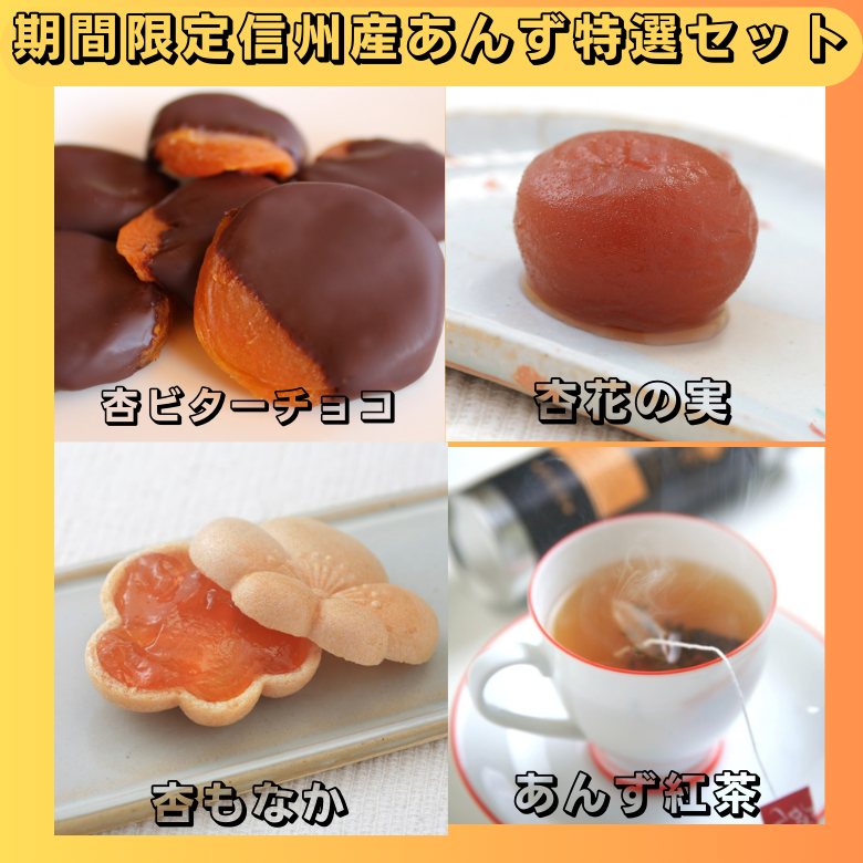 【期間限定11月～3月販売】【冬季限定・送料込】信州産杏づくし★杏もなか・杏花の実・あんず紅茶・杏チョコ（ビター）　詰合せセットE【スイーツ】
