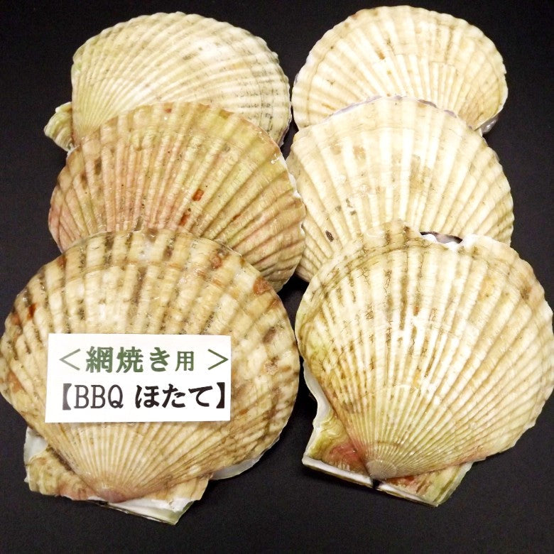 【貝付ほたて6枚】ご家庭の魚焼きグリルでも焼ける下処理済み※ほたて６枚※【2026年5月より再販売です！】バター醤油焼きがおすすめです！※BBQの際はそのまま網にのせて！※