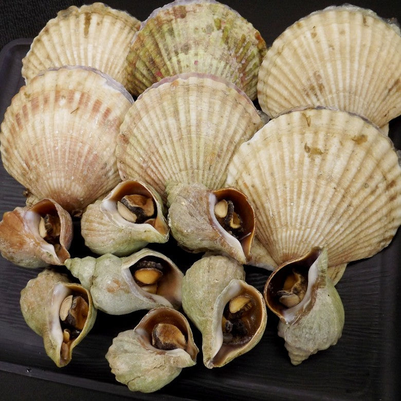 【新商品BBQセット】「貝付ほたて・浜焼きつぶ貝」セット！★非可食部位のウロ・アブラは下処理にて取り除いております★ホタテと一緒に生息しているつぶです★【送料込み】です。2026年5月から再販売です。