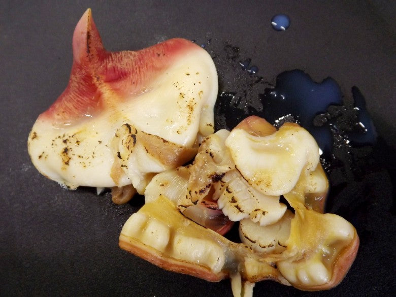 【新商品】北海道産の最も高級な「北寄貝ほっきがい」刺身用４玉★解凍しそのまま食べられるブランチング加工★柔らかふわふわ食感です！