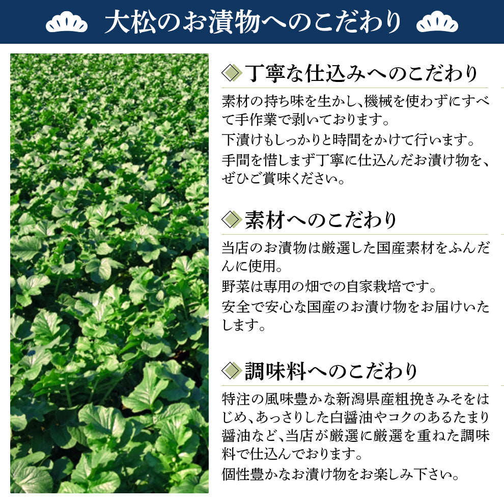つけもの処大松の上州味くらべセット